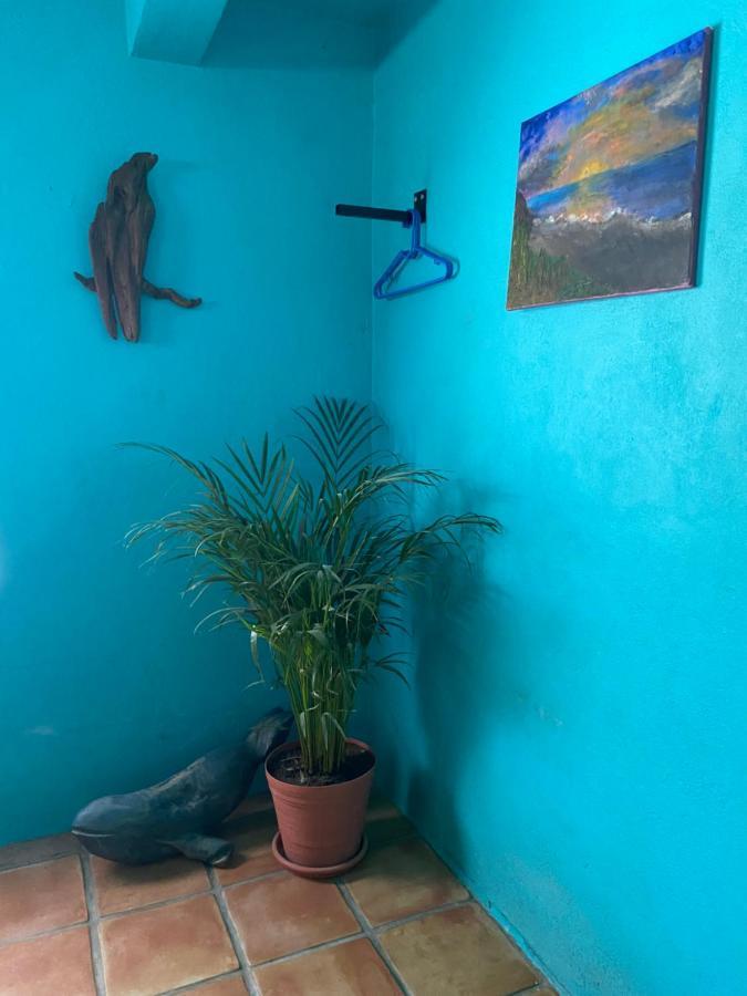 Casa Xochitl Bed and Breakfast El Centenario Eksteriør billede